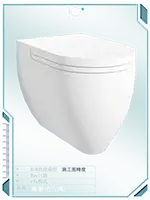 壁挂式马桶10