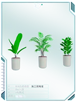 植物13