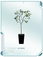 植物2