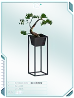 盆景1